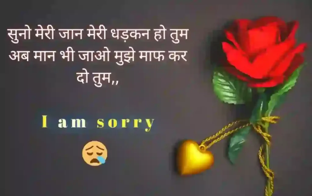 Sorry love image